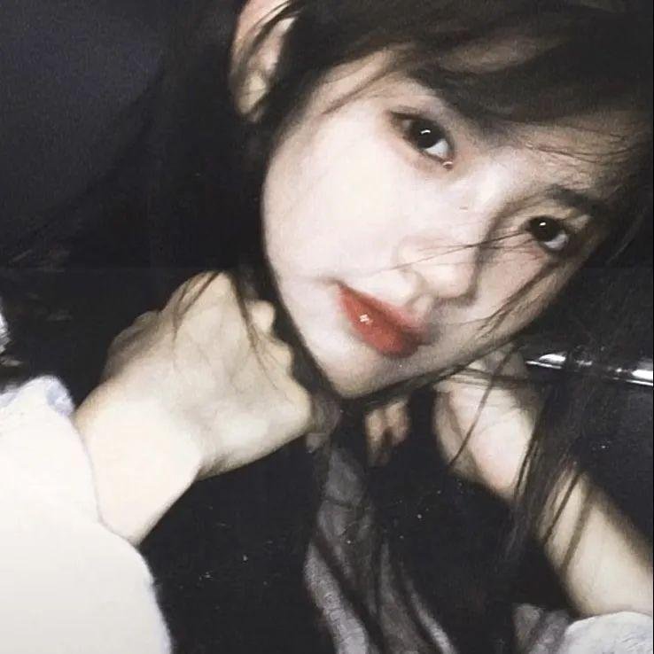 我的朋友是萌鲨